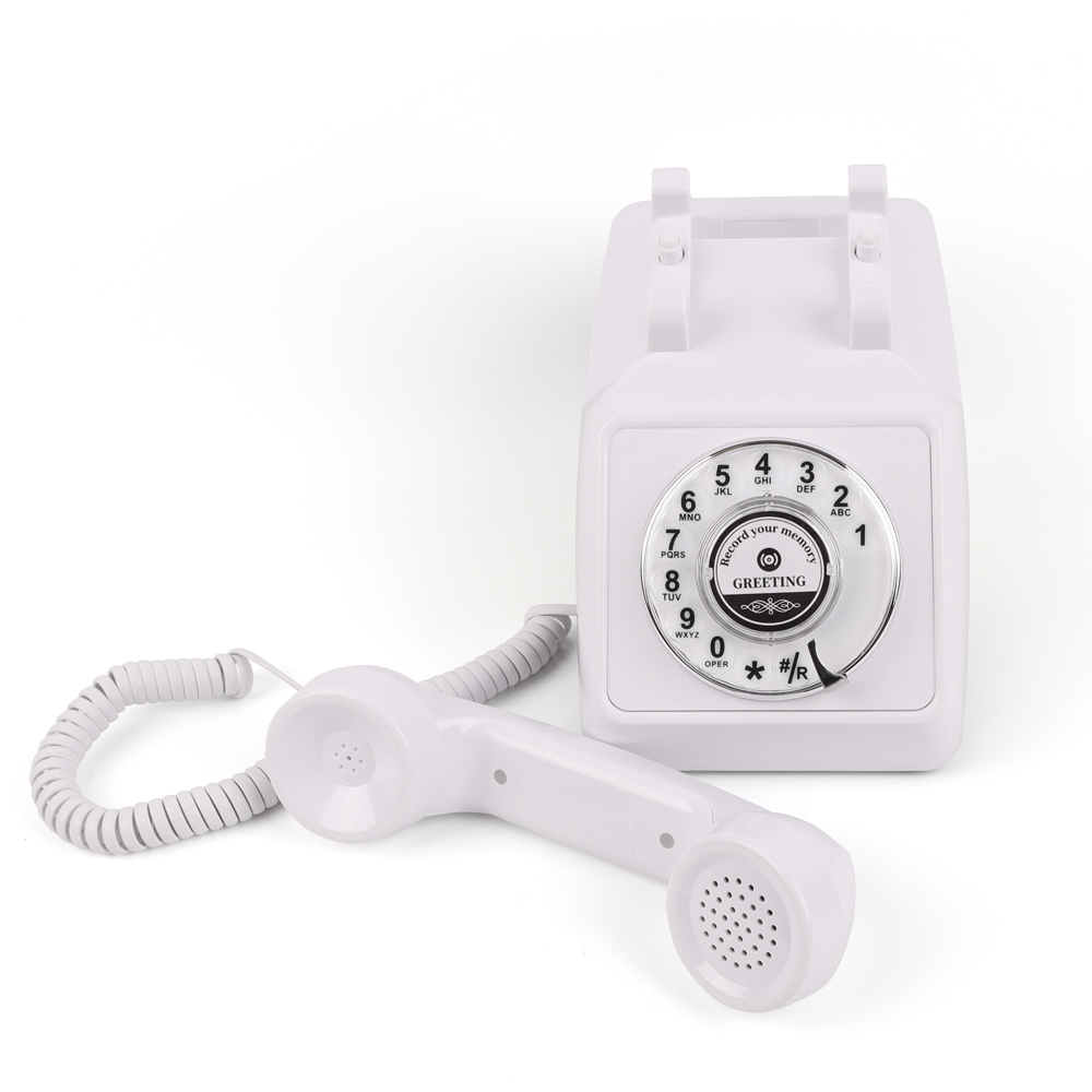 Modern Rotary Audio Telephone CT-8020