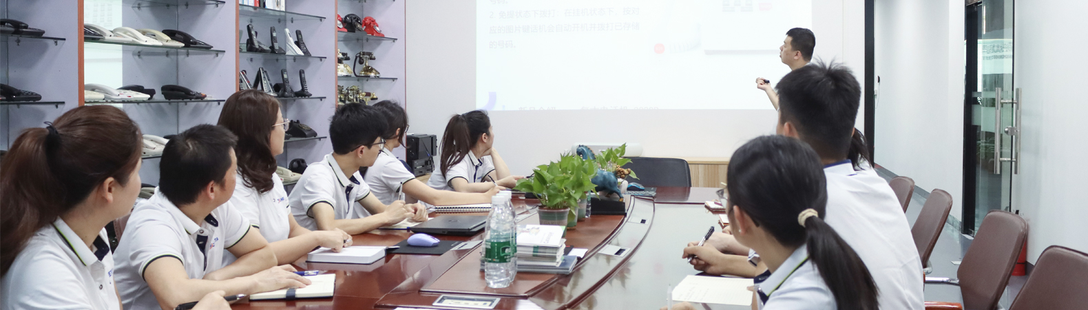 Internal team training on IP Video Telephone product communication strategy