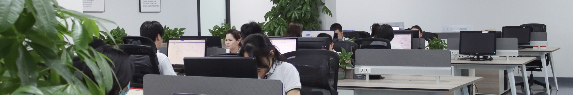 About Us – IP Video Telephone Team 6|9sitename% | CHEETA.